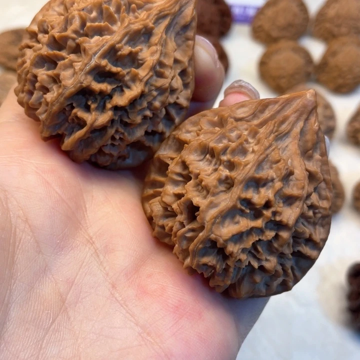 核桃其他秦岭山脉海口市