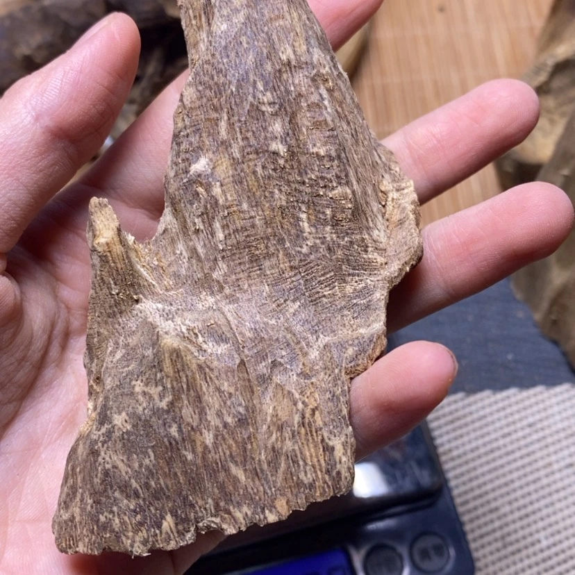 【闪购商品】香榧木玩*海南12.6克