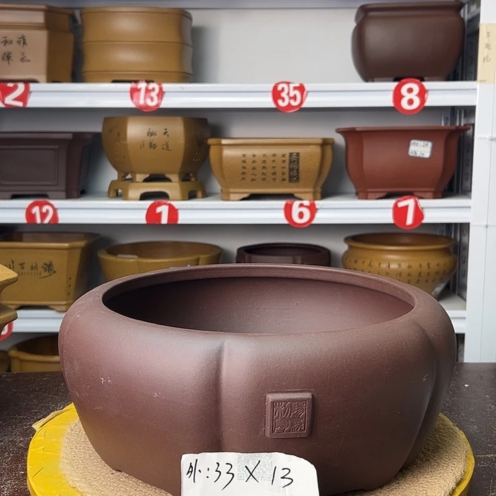 花盆紫砂你在一起