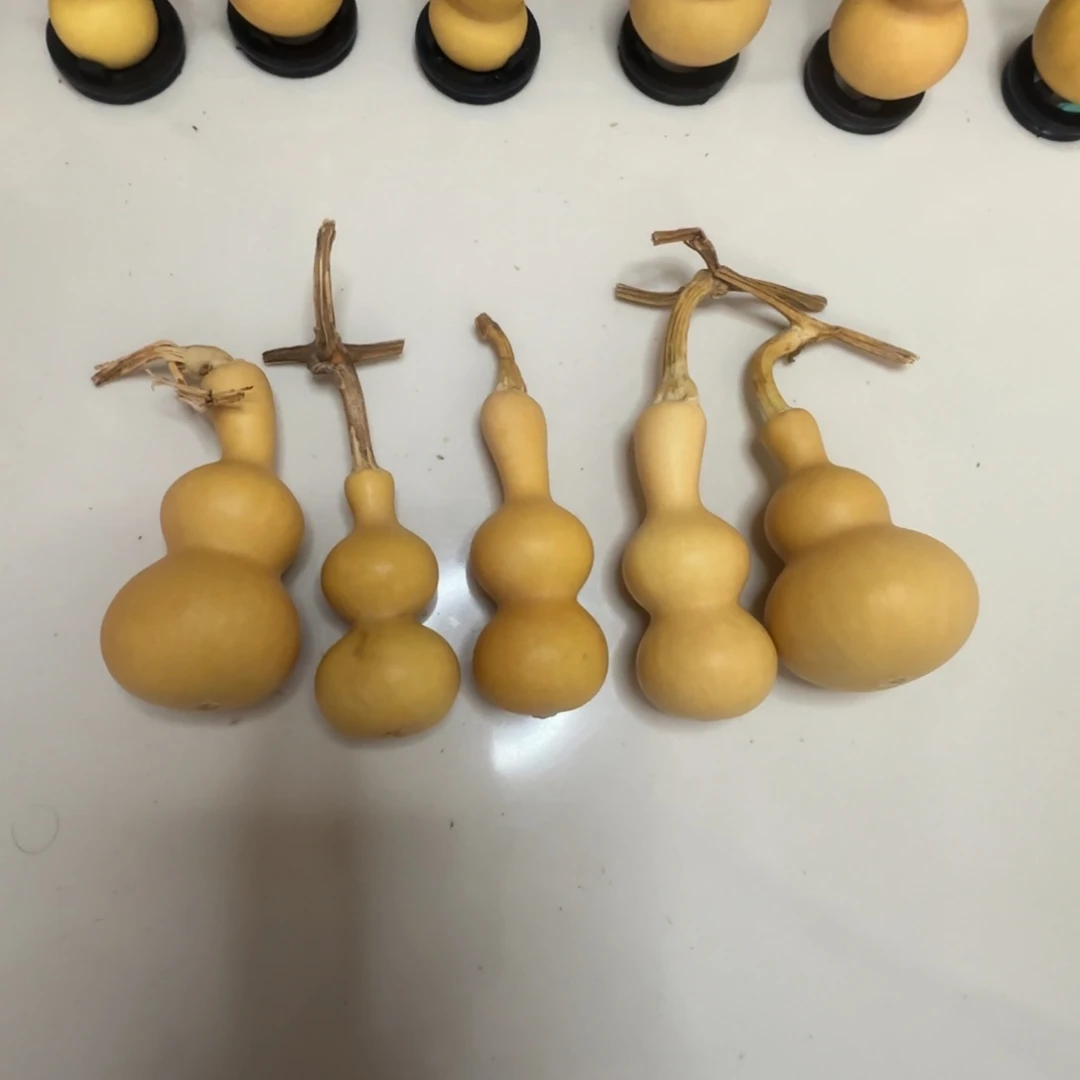 青*青柠的八宝葫芦葫芦