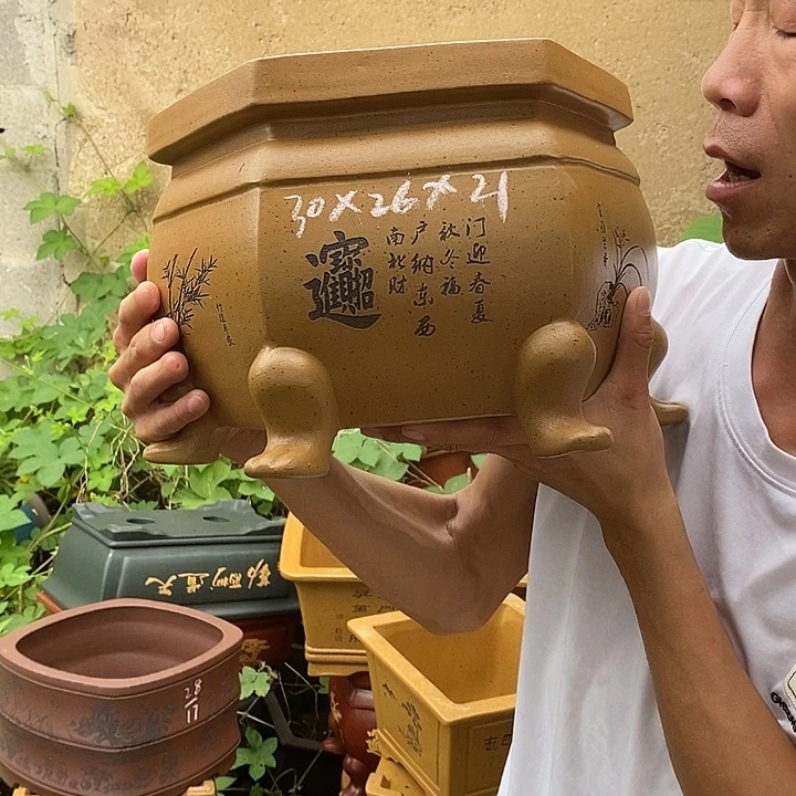 花盆紫砂在一起的时候我就不想