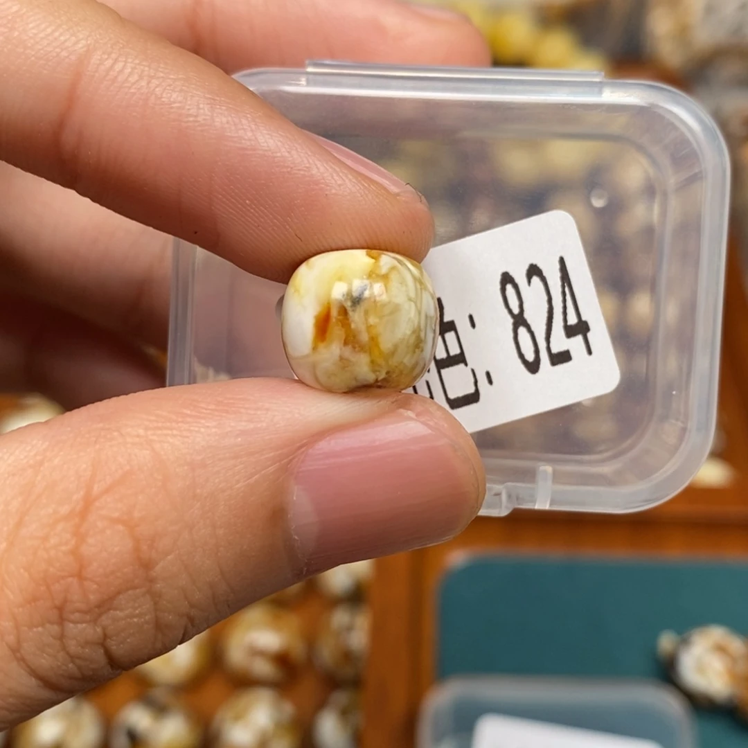 沁色蜜蜡未镶嵌824