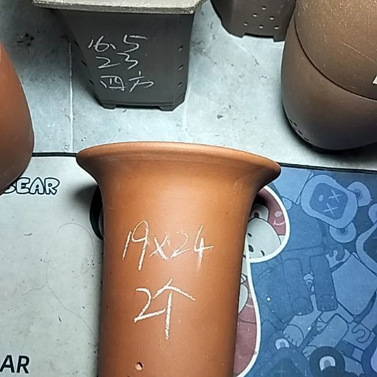 大红兰花两个个花盆