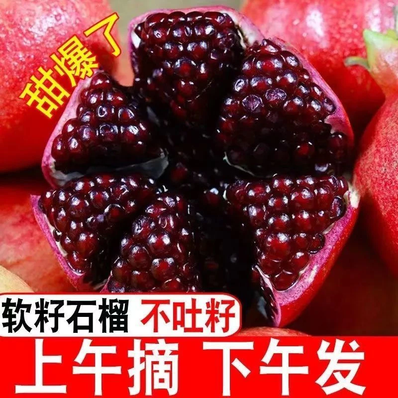 四川会理突尼斯软籽石榴新鲜采摘产地直发水果爆甜多汁产地直发-1