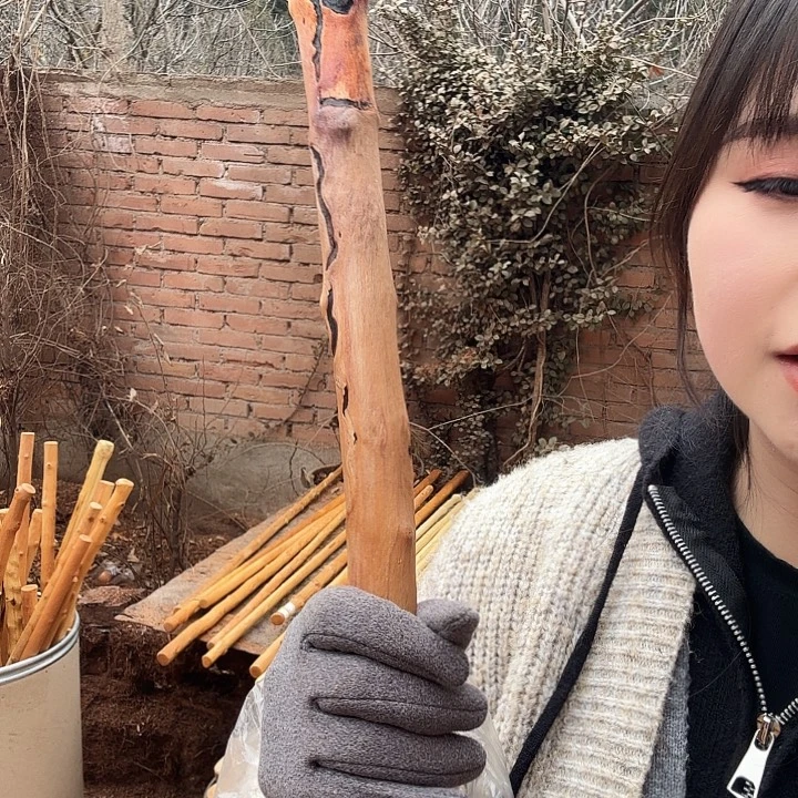 皇***朝铁匠的故事是一个人在生活中