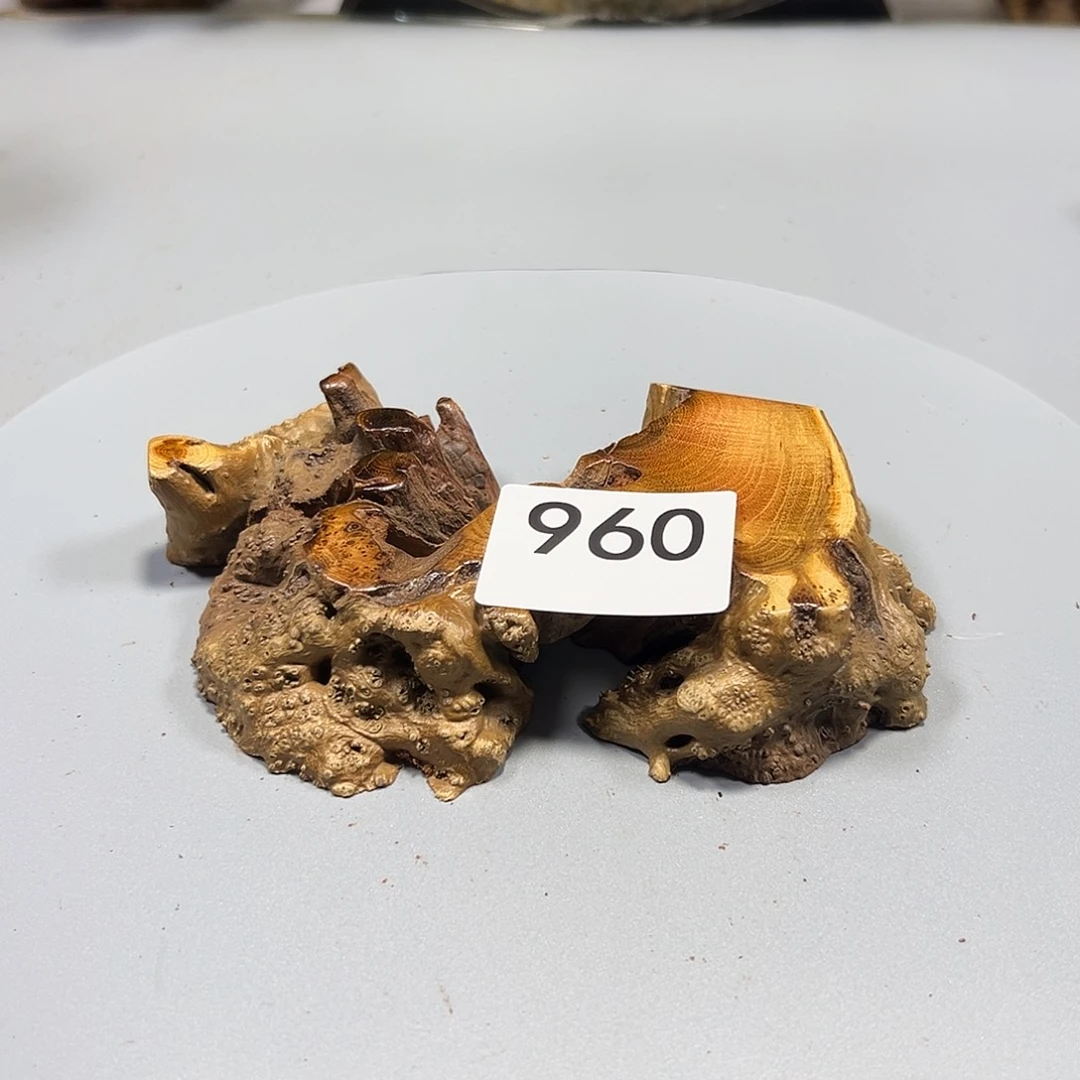 大果紫檀（缅甸花梨）需**间