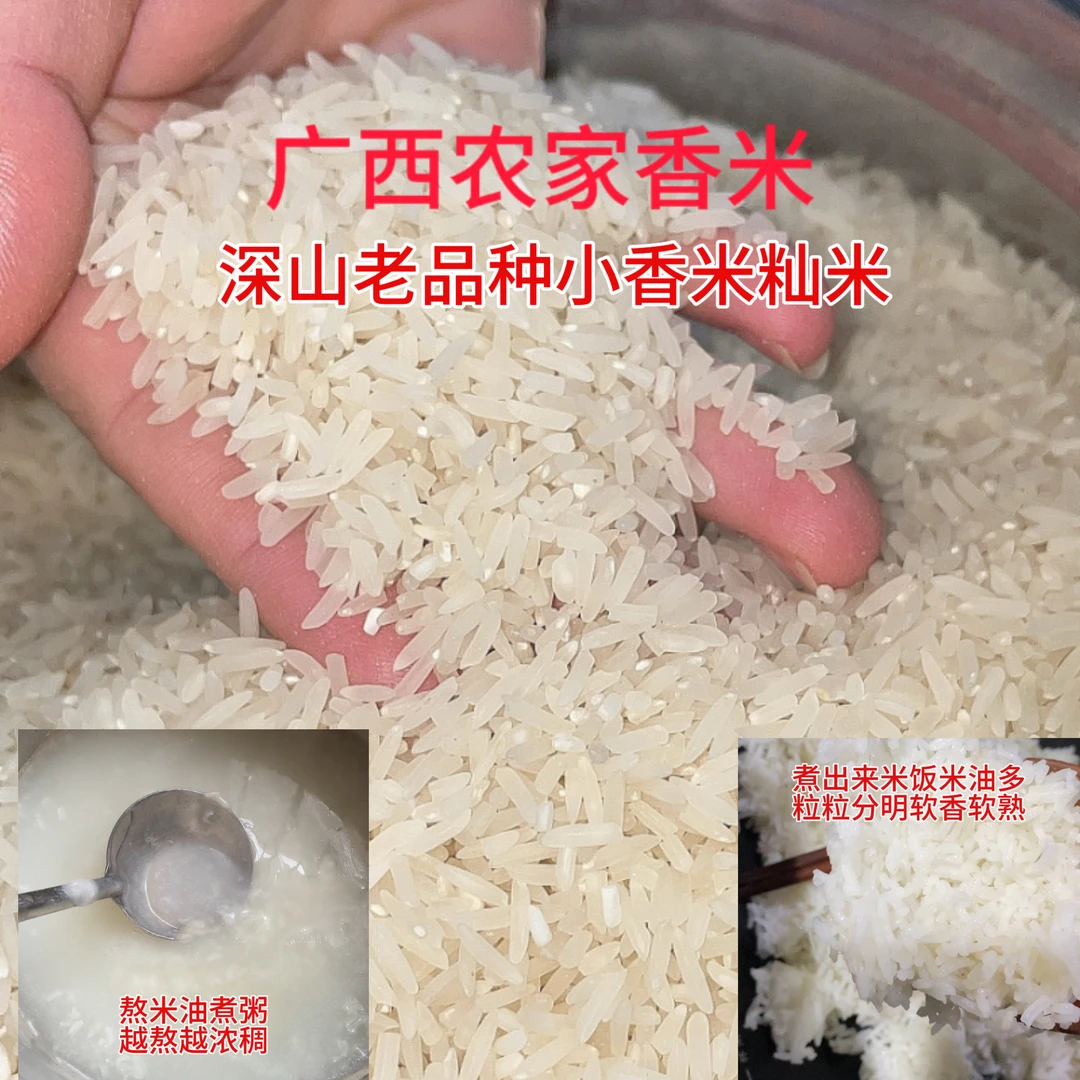 广西晚稻新米小香米籼米10斤正宗农家土货广西深山种植细长