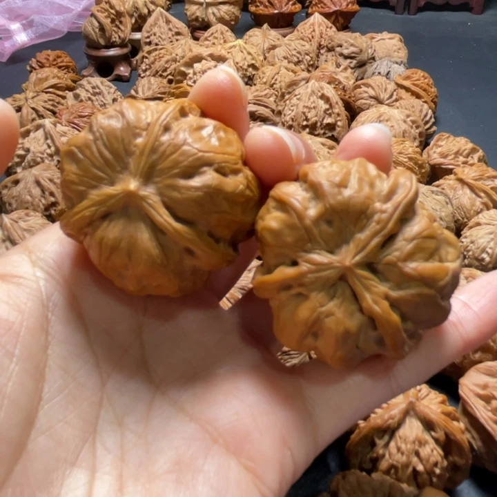 蛙蛙三棱38尺寸核桃哈哈哈哈哈哈哈哈