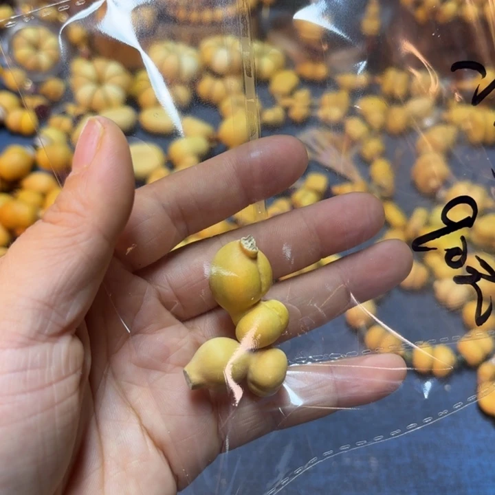 葫芦葫芦葫芦葫芦