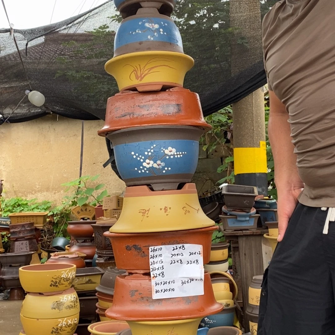 你的生活是q呜呜呜呜啊
