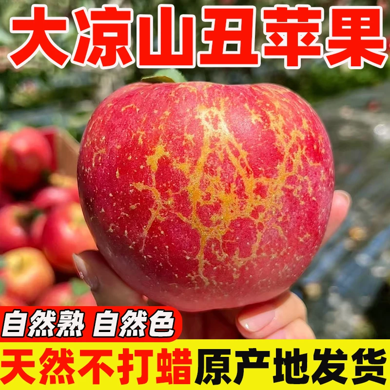 【申通快递】2025年正宗大凉山丑苹果冰糖心苹果四川新鲜脆甜孕妇