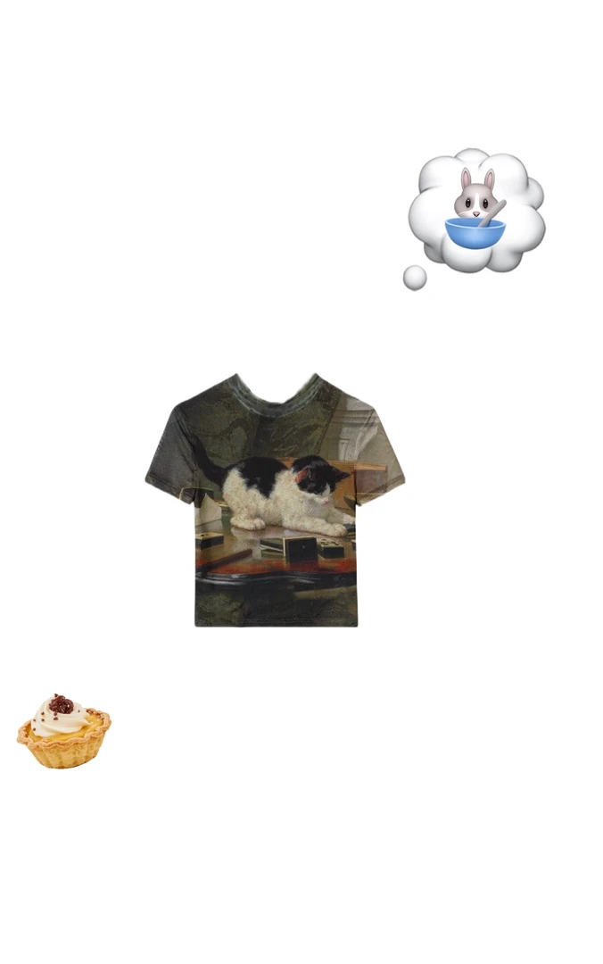 【安-中古油画小猫】印花辣妹弹力网纱短袖T恤修身显瘦上衣女夏季