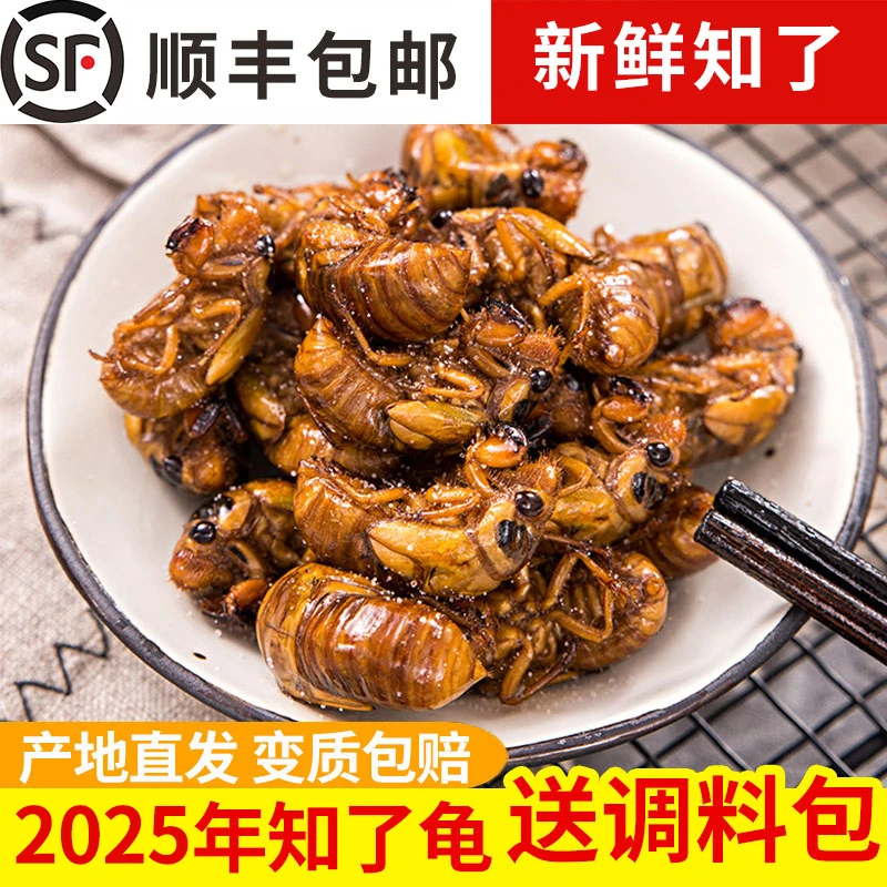 汇尔康2025新鲜知了爬叉50只 蝉蛹速冻蚕蛹猴子吉拉猴爬蚱结了龟