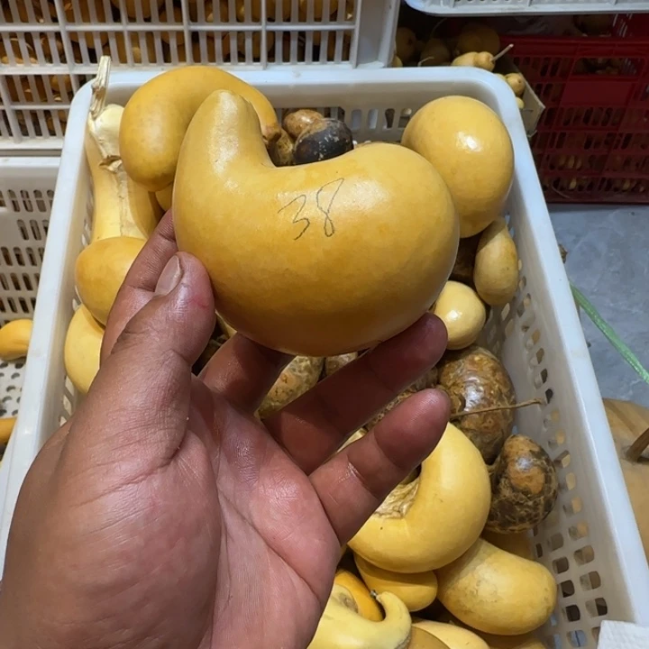 阳***？哈哈哈哈哈哈哈哈哈哈哈哈哈