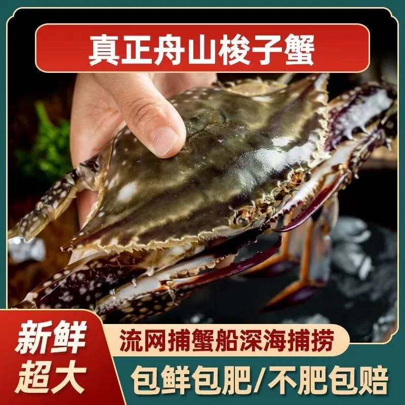 东海野生海捕舟山梭子蟹肉母蟹3-4两/只  净重3斤/箱共10只【冻蟹】