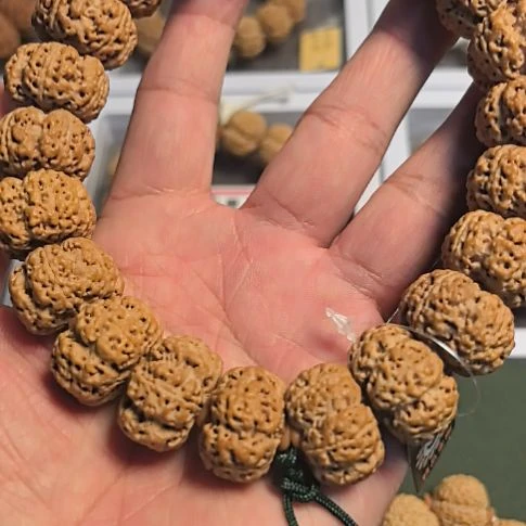 金刚菩提把件五星梅花大金刚夹板王手持，原皮原色，今年新籽