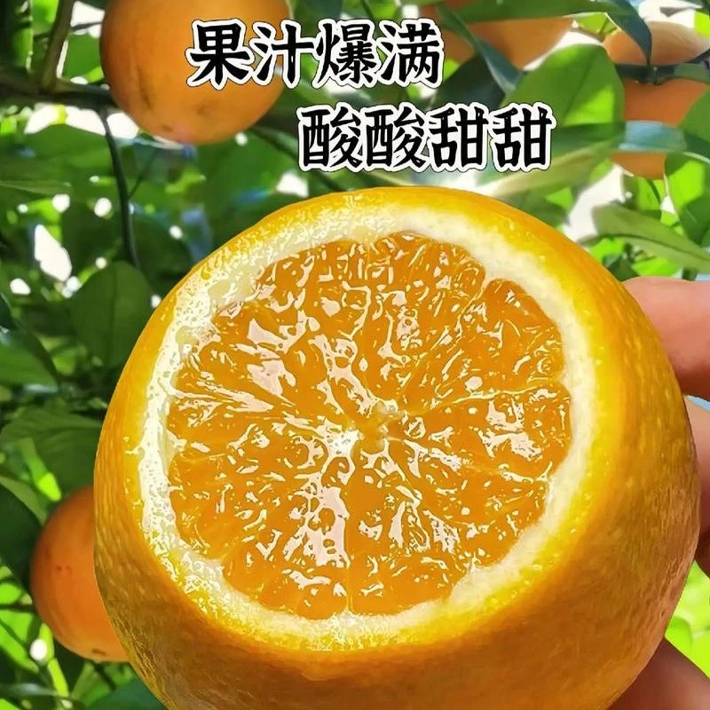 精品夏橙子广西水果产地直发当季新鲜水果酸甜多汁果冻橙整箱包邮