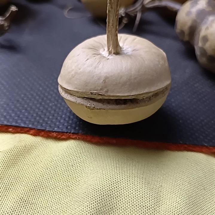 花**夕天裂苹果抽抽葫芦