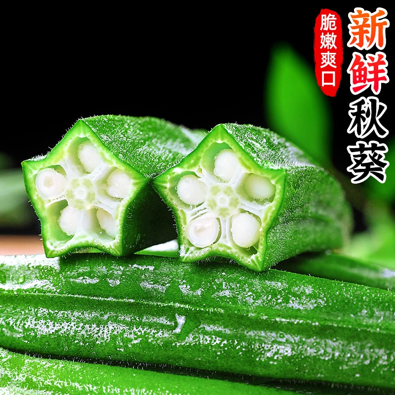 【鲜嫩爽口】新鲜秋葵1-5斤蔬菜鲜嫩黄秋葵毛茄羊角豆黄蜀葵凉拌