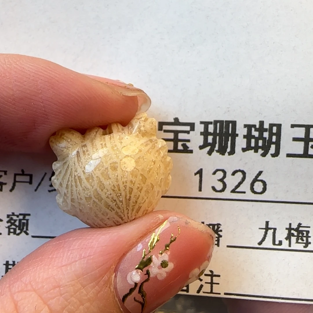 硅化珊瑚（珊瑚玉）未镶嵌颈饰