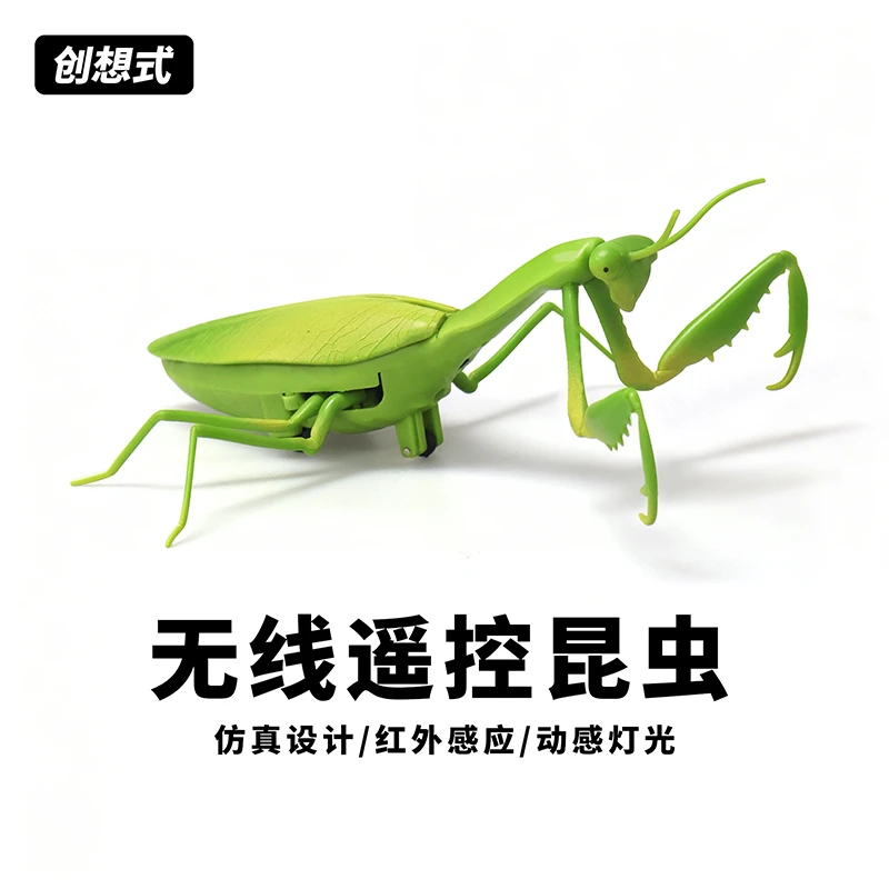 创想式-无线遥控昆虫螳螂七星瓢虫创意仿真整蛊神器早教益智玩具