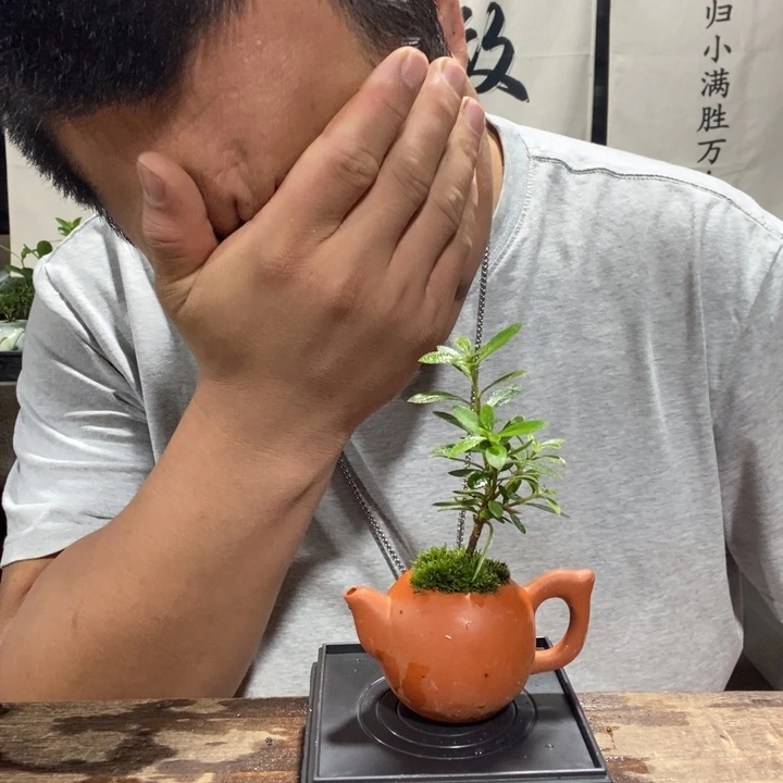 如*?一物一拍所见即所得171