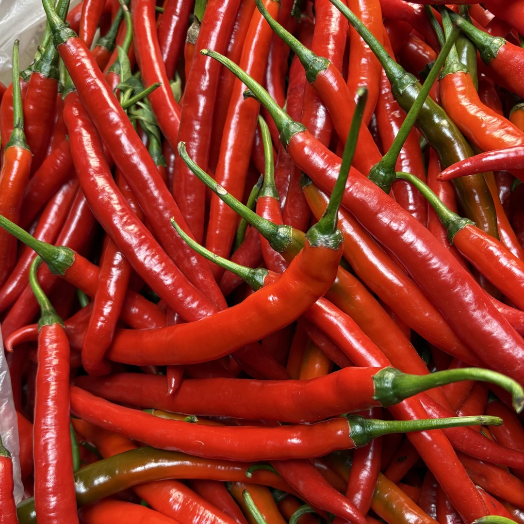 头茬二荆条软的适合晒干