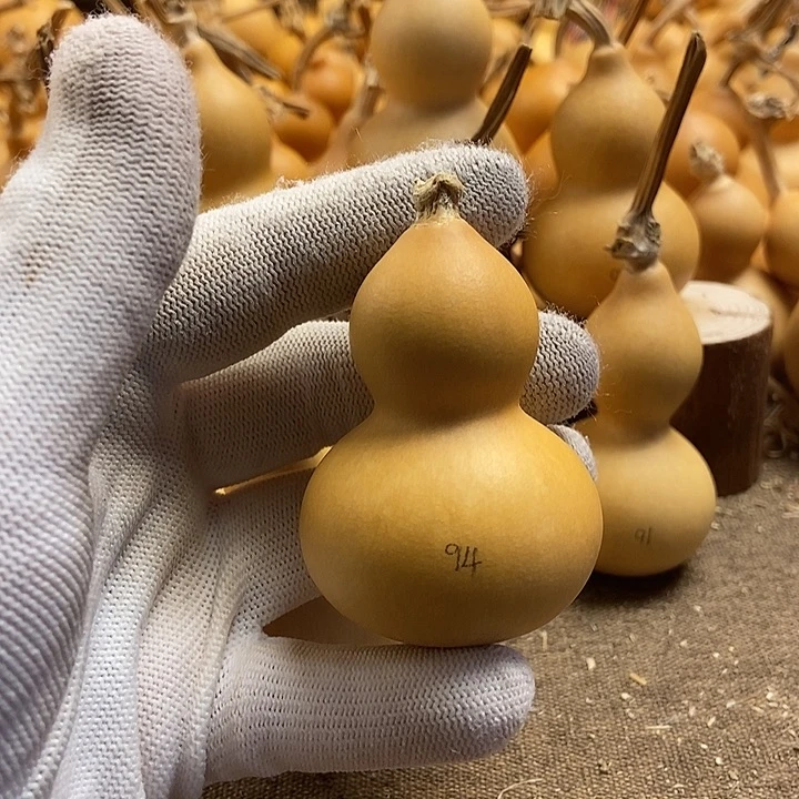 文玩葫芦 完美主义者 慎拍94