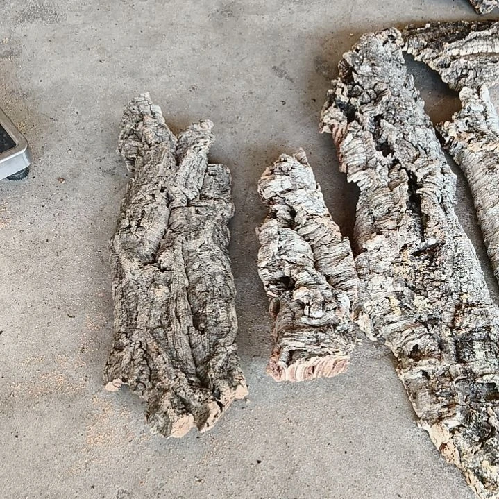 木一物一拍一物一发