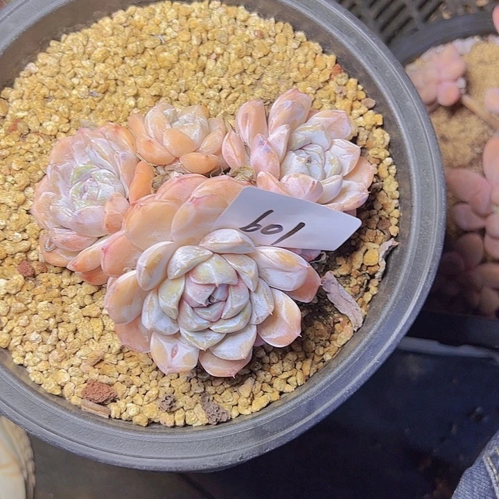 ?****691///////////////