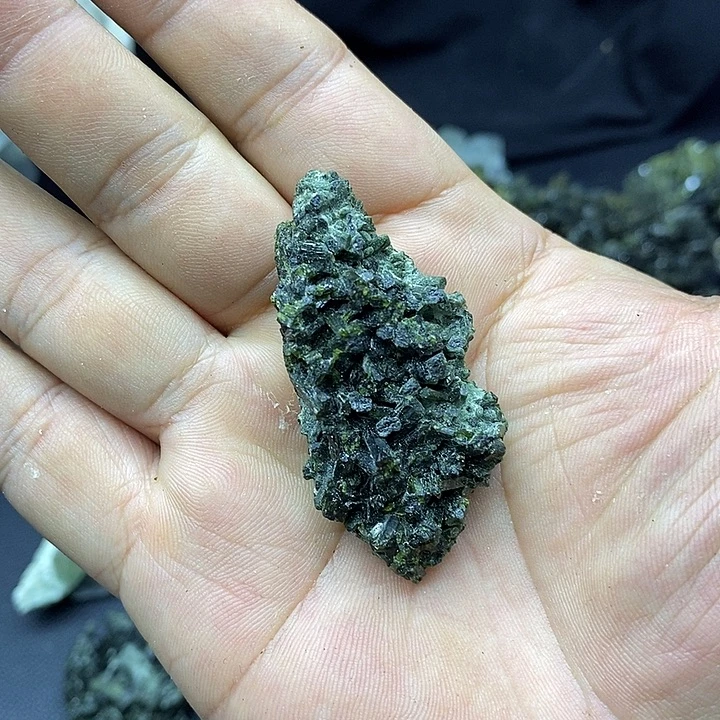 有机玻璃新号开播福利