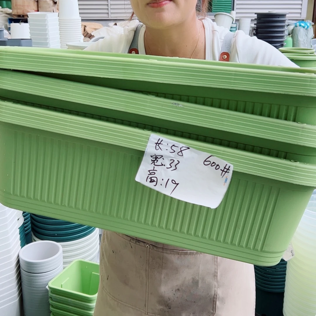 菜盆600#果绿色3个无托
