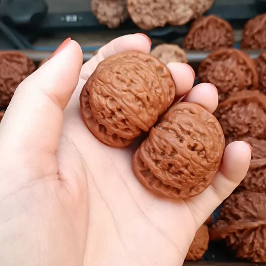 核桃白狮子头狮子头