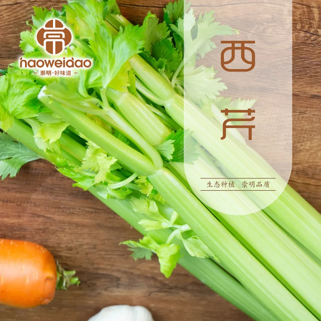 [康康专属] 崇明岛现摘现发鲜嫩大西芹3斤装 榨汁脆嫩