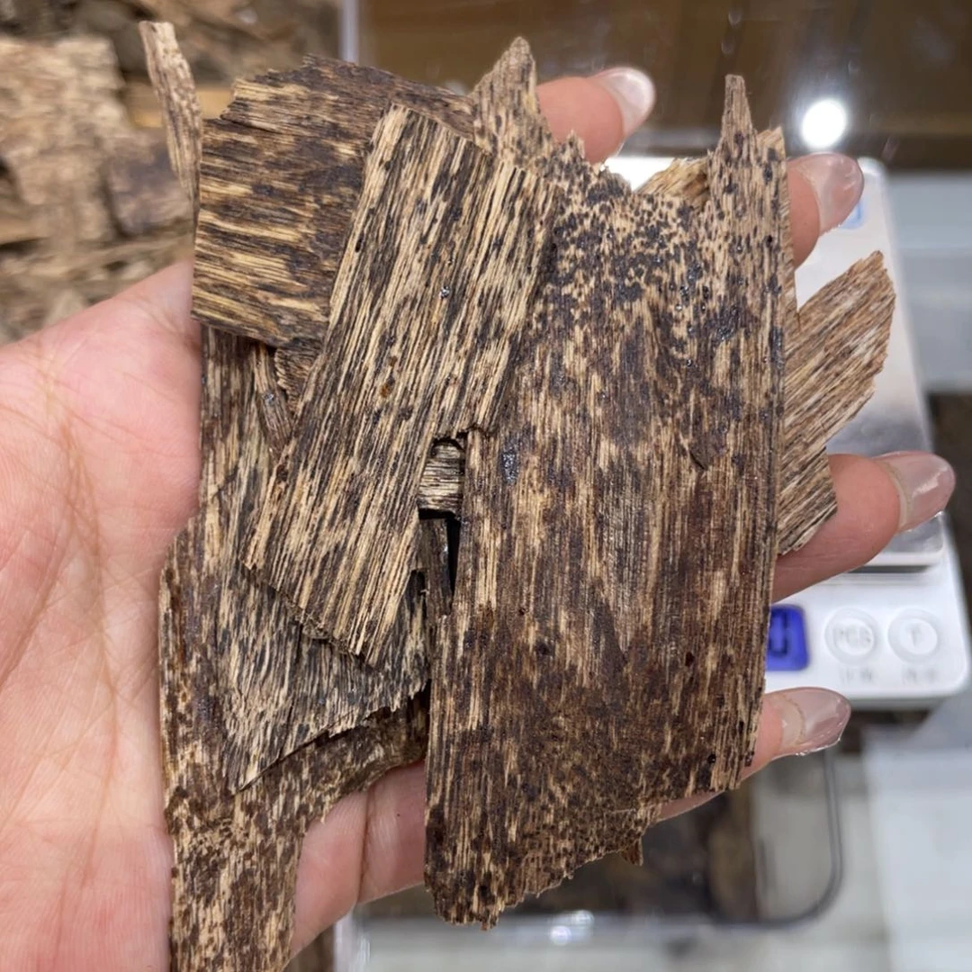 香榧木海南尖峰岭排油老料12g