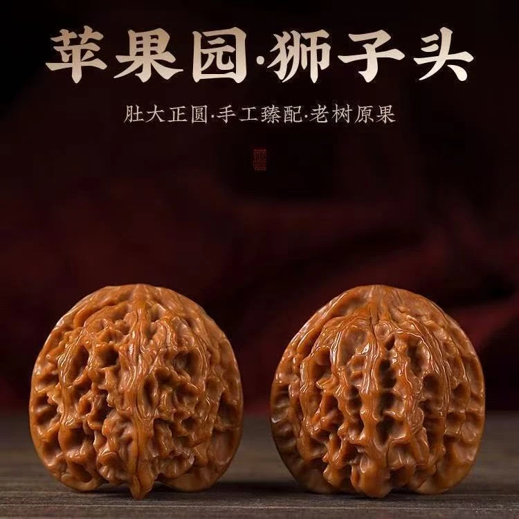 （新果头货）山地老树原桩梅枝纹金钱底（苹果园）