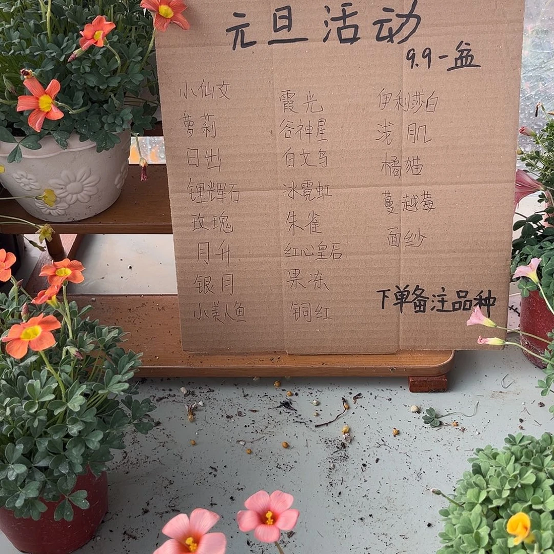 当前无花栽培后可以开花
