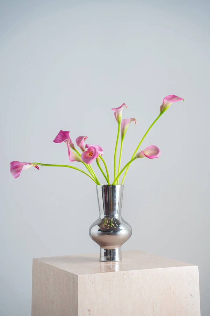 粉色限定马蹄莲蝴蝶兰搭配云南基地直发高品质家用小众稀有花期长