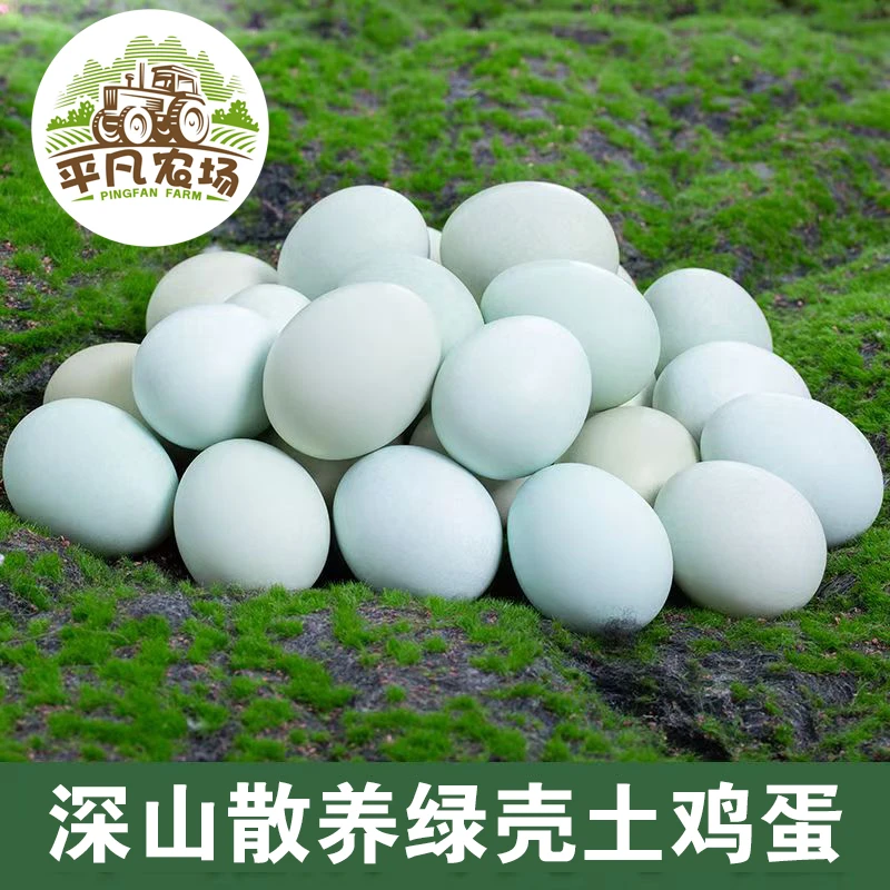 平凡农场深山散养绿壳土鸡蛋30枚送散养土蛋鸡一只