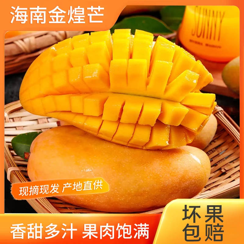 【海南三亚产地金煌芒】精品芒果树熟4.5-5斤现摘热带水果
