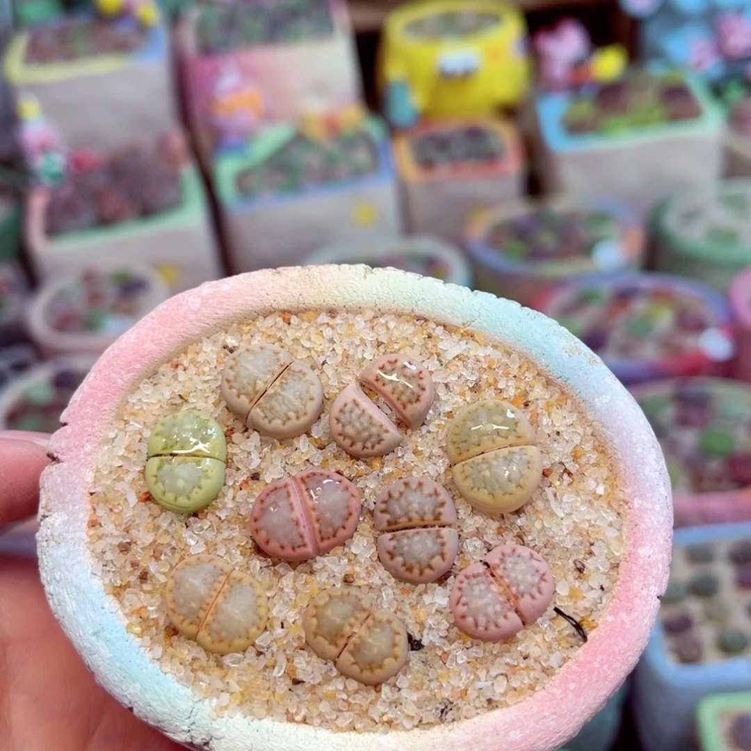 s****e188 888888888888888888