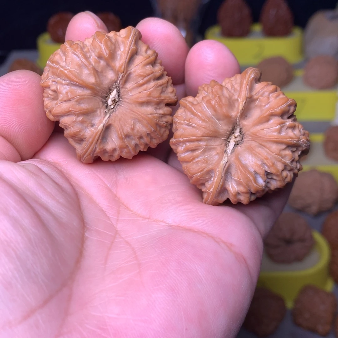 大叶紫檀（黑酸枝木类）平谷聚宝盆