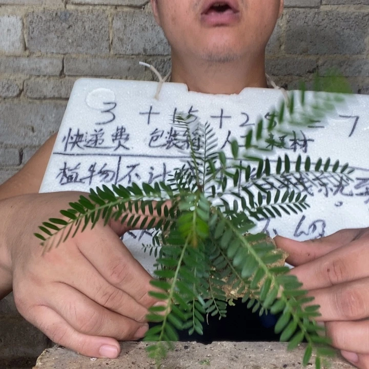 退款拉黑一物一拍278