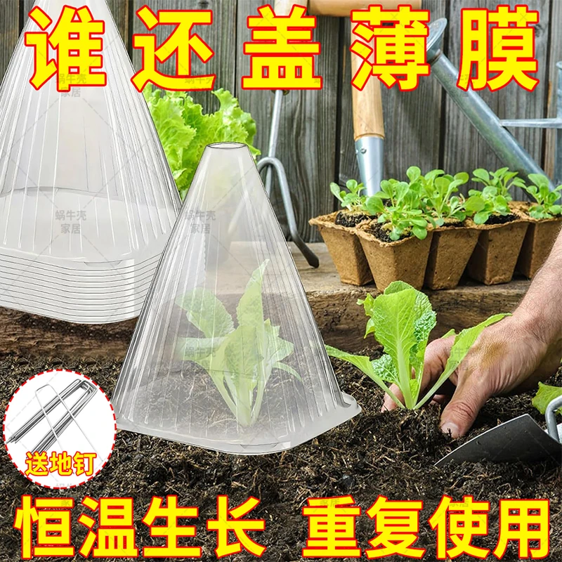 育苗保护罩透明钟罩加厚防鸟霜冻蔬菜园艺种植必备菜罩幼苗