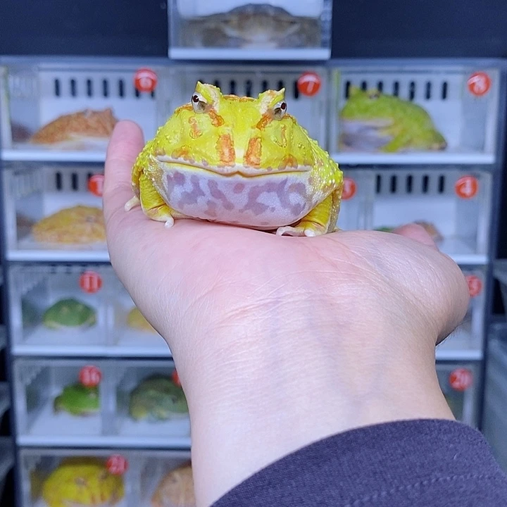 特价秒杀现货特价残