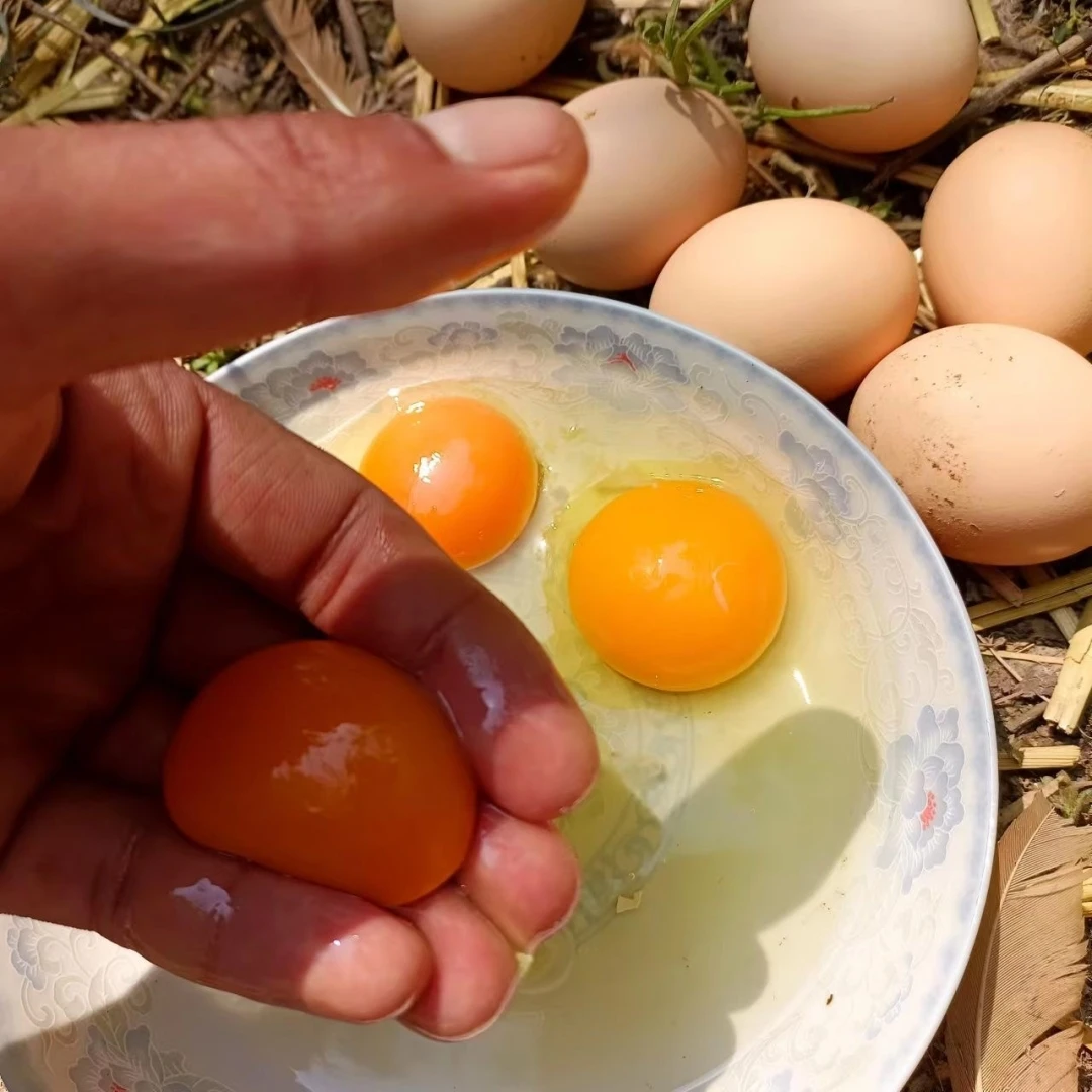 沂蒙山农家散养土鸡蛋50枚一箱草鸡蛋家养笨鸡蛋