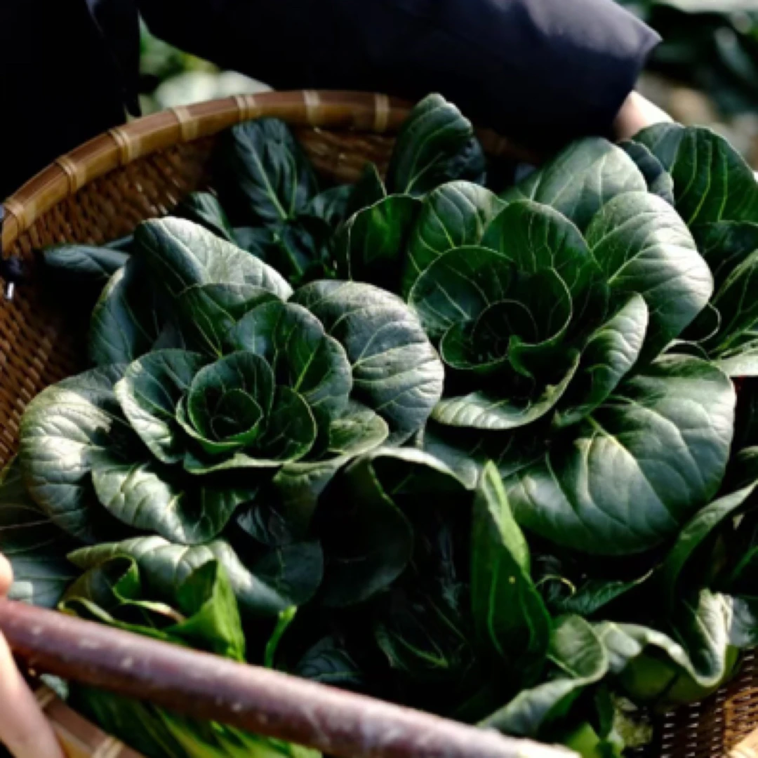 农家露天小黑菜5斤