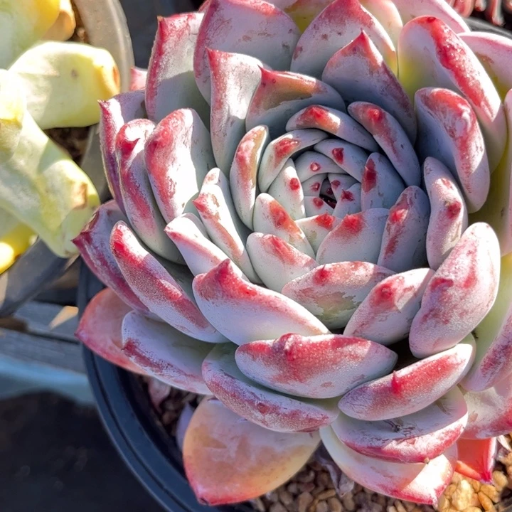 75///////////////////