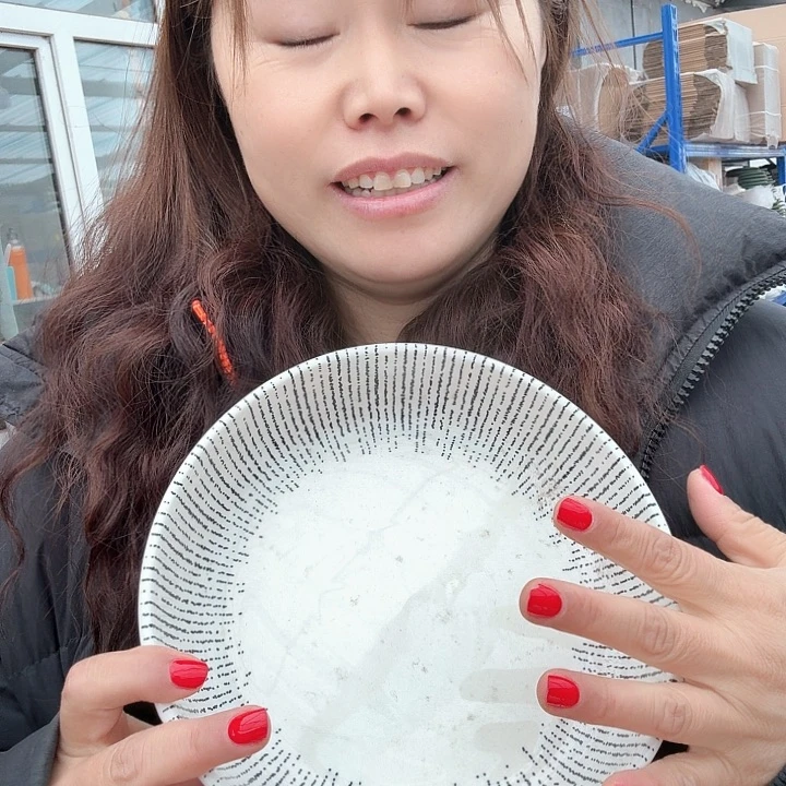 外贸条纹汤盘微瑕