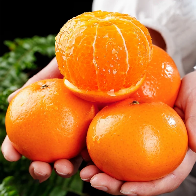 【自然生长花皮果】广西武鸣沃柑当季新鲜水果皮薄多汁香甜柑橘直发